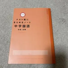 Item thumbnail for item ac7a2e3c-6a4e-44b1-89ce-a3459aa9aeeb