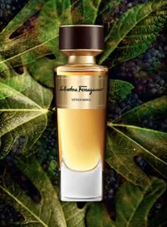 2025年最新】VInyL ずっとそばにいての人気アイテム - メルカリ