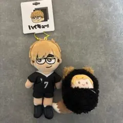 ハイキュー!! ジロリぬいぐるみ　稲野崎高校　コンプリート　４点 ハイキュー!! ジロリぬいぐるみ 稲野崎高校 コンプリート 4点 - メルカリ
