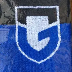 ガンバ大阪2023年ファンクラブ限定タオルマフラー