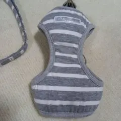 Item thumbnail for item 5c6e6cf4-0c75-4bf7-8968-62cc11512c18