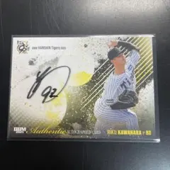 Item thumbnail for item 8aa12152-cc90-4b0b-894f-936c92faed79