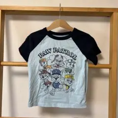 ☆PAW PATROL Tシャツ 水色　GAP