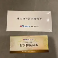 YAMADA HLDGS. ヤマダデンキ　お買物優待券 6枚セット3,000円分