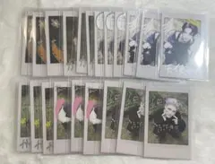 &TEAM Back to Life トレカ　まとめ売り