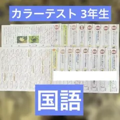小学校3年生 カラーテスト 国語 16枚のサムネイル