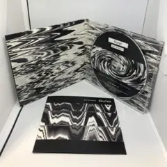 正規品 会場限定盤 Skyfall ONE OK ROCK CD ワンオクロック