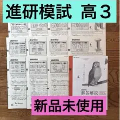 新品未使用　進研模試 大学入学共通テスト模試２０２４年度６月ベネッセ 高３高卒生のサムネイル
