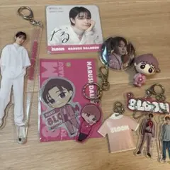 君の花になる　古町有起哉　小野寺宝  ボイスぬいぐるみ　アクリルキーホルダー グッズ｜TBSテレビ：火曜ドラマ『君の花になる』