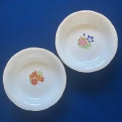 【昭和レトロ】博鳳窯　深皿　2枚セット 花柄 楓 桔梗