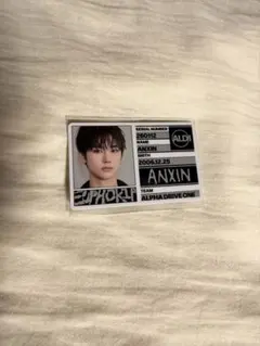 ALD1 アンシン ID トレカ