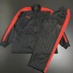 PUMA プーマ ジャージ セットアップ 上下セット メンズ L-O(XL)