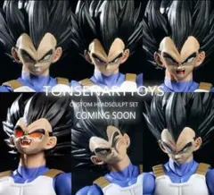 s.h.figuarts ドラゴンボール　ベジータ　カスタムヘッドパーツ　セット