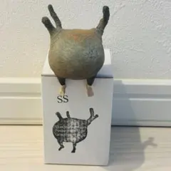 OZWRT TheCaudexMan pachypodiuman C サイズSS