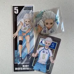ハイキュー 星海光来 缶バッジ・カードセット