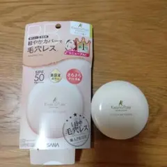 サナ 毛穴パテ職人 BBパウダー ナチュラルベージュ 1回使用 ノエビア