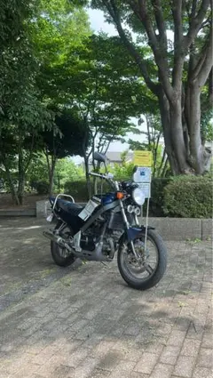 2025年最新】vtz タックロールシートの人気アイテム - メルカリ