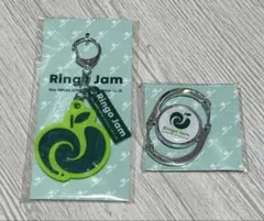Mrs. GREEN APPLE ◇ FC長期会員特典♪ カラビナ キーホルダー - メルカリ