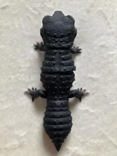 Item thumbnail for item 6205c78f-50ba-40c7-b878-19bf7eda340e