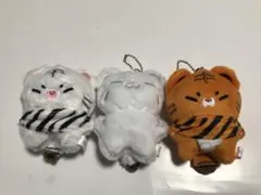 2026年最新】seventeen ホシ ぬいぐるみの人気アイテム - メルカリ