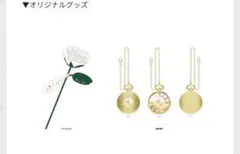 三代目アプグレグッズ★訳あり。