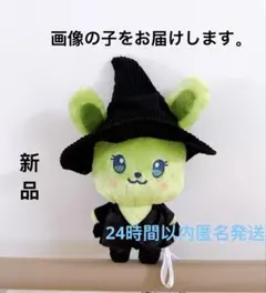 2026年最新】ウィキッド 永遠の約束 ANIMAL COORDY ぬいぐるみの人気