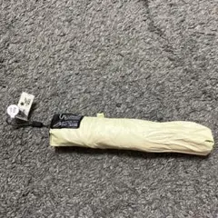 Item thumbnail for item 56345d46-e377-4643-bbe4-cc7c4333cae2