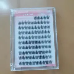 LANKIZ つけまつげ Cluster Lashes