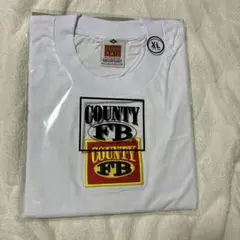 Item thumbnail for item 94ca1545-da82-4604-8d77-f077173f9e17