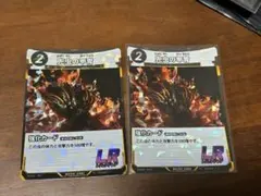 ふかひれ祭り様 リクエスト 2点 まとめ商品