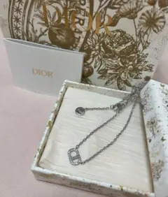 Dior CDシグネチャー ネックレス シルバー 正規品 保存袋付き Dior CDシグネチャー ネックレス シルバー 正規品 保存袋付き - メルカリ