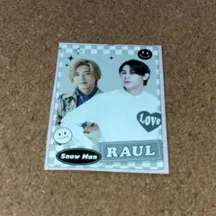 SnowMan ラウール なにわ男子 道枝駿佑 POTATO プリ帳 切り抜き