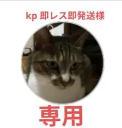 kp 即レス即発送様　専用