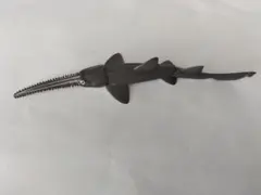 ノコギリザメ ザ・シャーク ガチャ