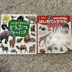 はじめてのずかん 2冊セット