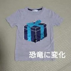 エイチアンドエム120Tシャツスパンコール