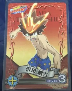 家庭教師ヒットマンREBORN! 沢田綱吉 カード