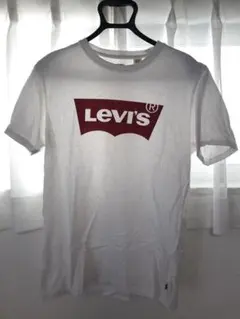 アメカジ Tシャツ