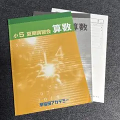 早稲田アカデミー 2025年 夏期講習会 小6 テキスト 早稲田アカデミー 2025年 小6夏期講習 国語 - メルカリ