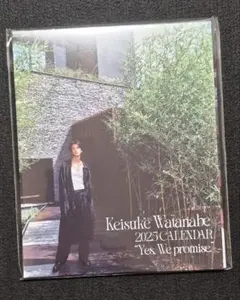 Item thumbnail for item 10cb76d4-24fb-4012-b0ac-837c81bd055c