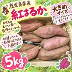 値下げ！鹿児島県産 紅はるか 5kg さつまいも