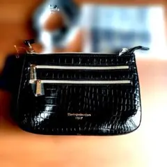 クロコダイル風ブラックショルダーバッグ