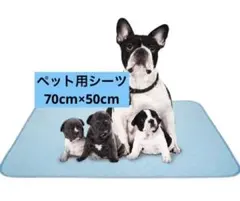 Item thumbnail for item 580121fa-7c3f-4825-aec5-310329aab2c6