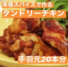 本格！簡単 タンドリーチキン スパイス 2袋 約20本分 インド料理 無添加のサムネイル