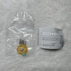 JOCHUM めじるしアクセサリー1 Bira