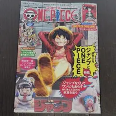 【美品】カードなしONE PIECE magazine マガジン　20号