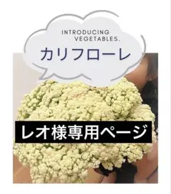 レオ様専用ページ