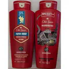 2026年最新】オールドスパイス アクアリーフの人気アイテム - メルカリ