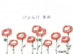 ぴょん様 専用ページ