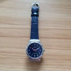 Item thumbnail for item 35b38096-8db8-4b2b-9d36-63c8305bd5e0